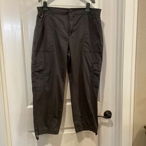 Sanctuary Charcoal hiking pants for women